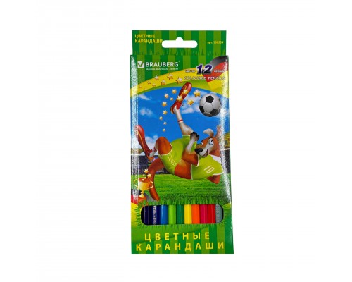 Карандаши цветные BRAUBERG "Football match" 12 цветов
