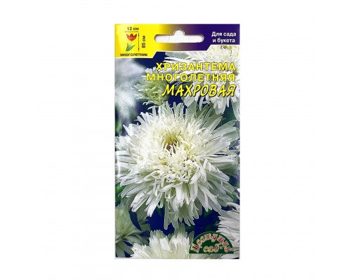 Хризантема Многолетняя махровая белая (ЦветСад Ц)