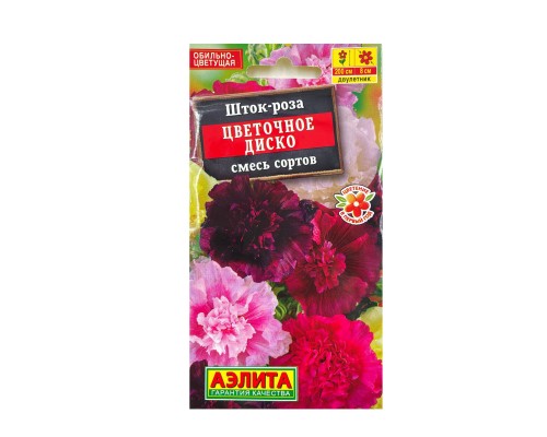 Шток-роза Цветочное диско (Аэлита Ц)