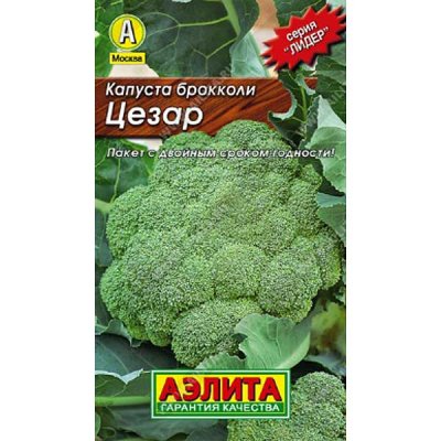 Капуста брокколи Цезар Лидер (Аэлита Ц)/10