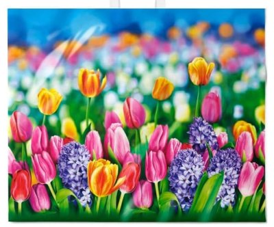 Пакет Цветочный базар с петлевой ручкой 60*50+6(70мкм) (ИН)/25/250