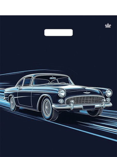 Пакет Движение с прорубной ручкой ламинированный 45*38(60мкм)(ТИКО)/50/500