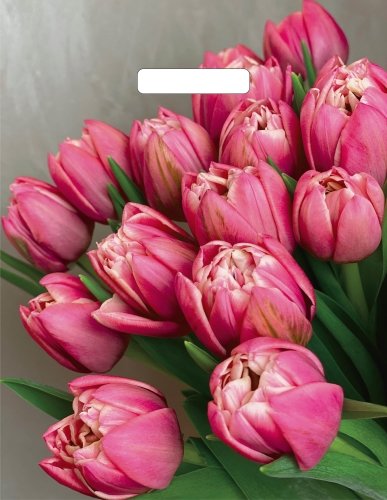 Пакет Стелла с прорубной ручкой 31*40см(60мкм) (Артпласт)/50/1000